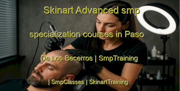 Skinart Advanced smp specialization courses in Paso De Los Becerros | SmpTraining | SmpClasses | SkinartTraining-Mexico